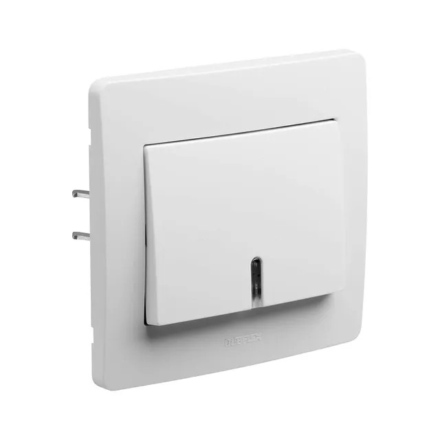 debflex-739170-bouton-poussoir-avec-voyant-blanc-gamme-diam2 image 1