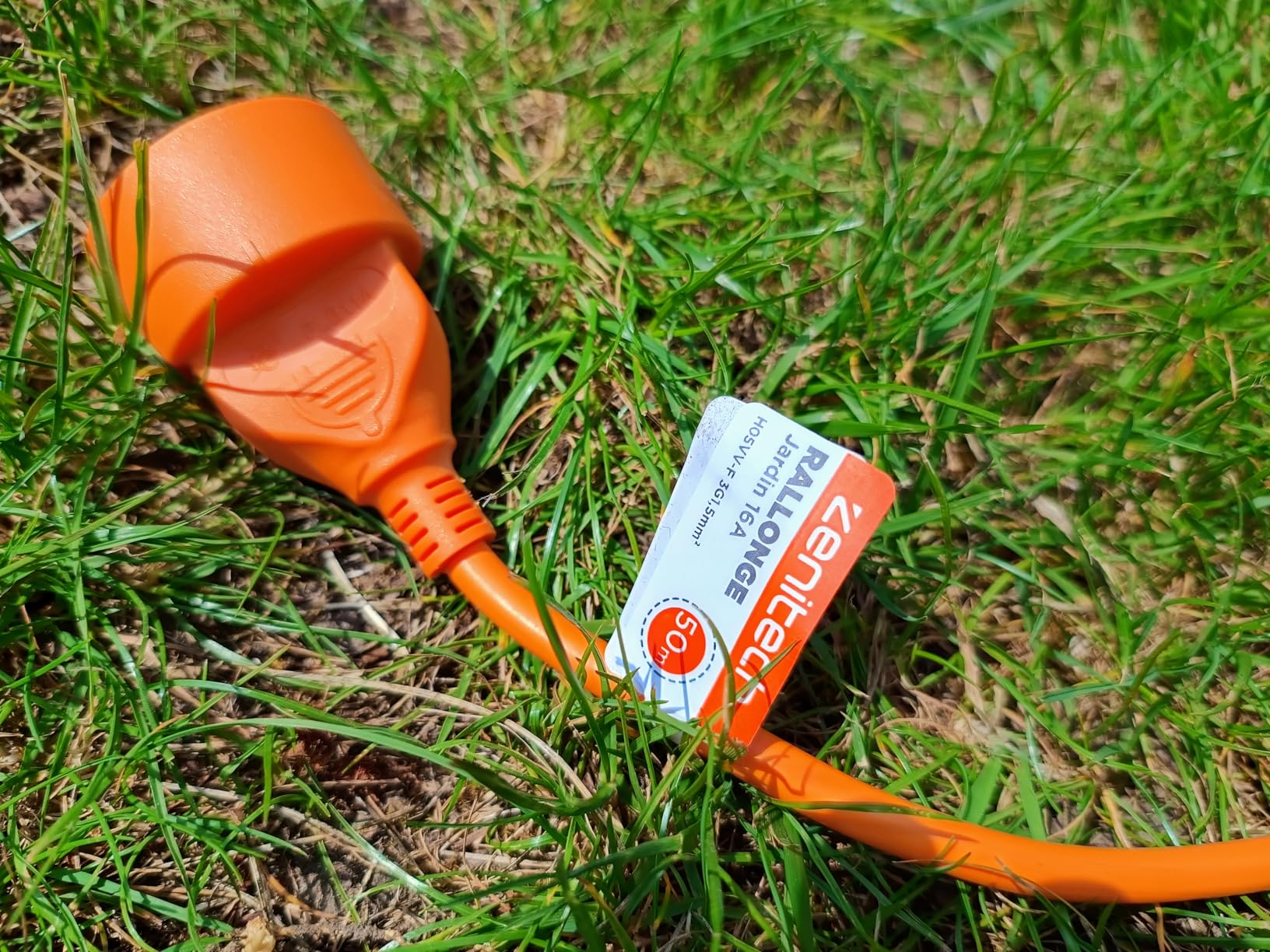 Idéal fond de jardin